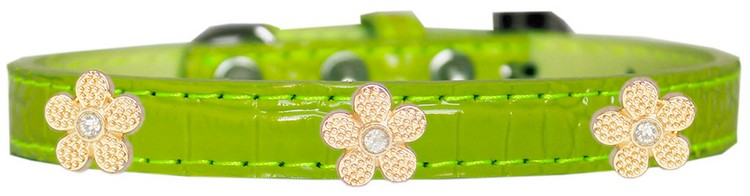 Gold Flower Widget Croc Dog Collar Lime Green Size 20